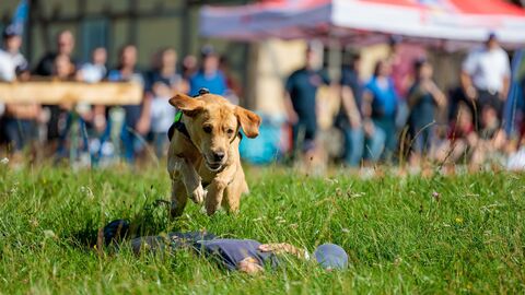 Hundestaffel Hundestaffel