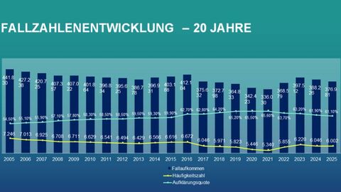 Die Fallzahlen sinken von rund 442.000 (2005) auf etwa 336.000 (2021) und steigen bis 2025 wieder auf ca. 377.000. Die Häufigkeitszahl geht insgesamt zurück, während die Aufklärungsquote von etwa 54 % auf über 60 % ansteigt.